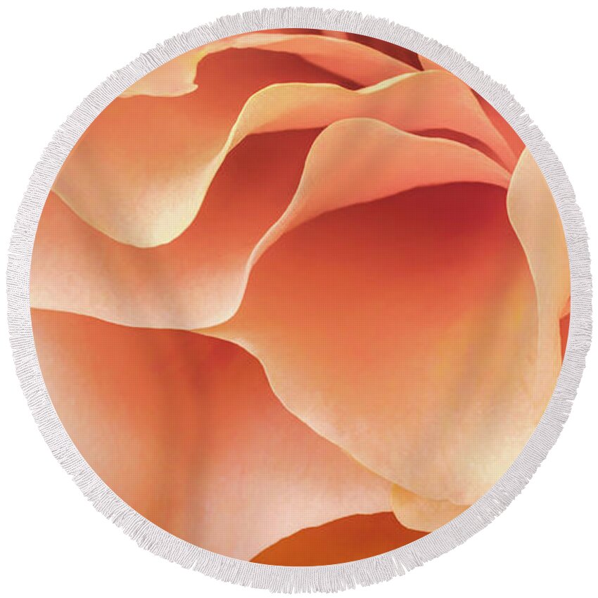 Rose Round Beach Towel featuring the photograph Soft And Dreamy - Triptych Bottom by Elvira Peretsman
