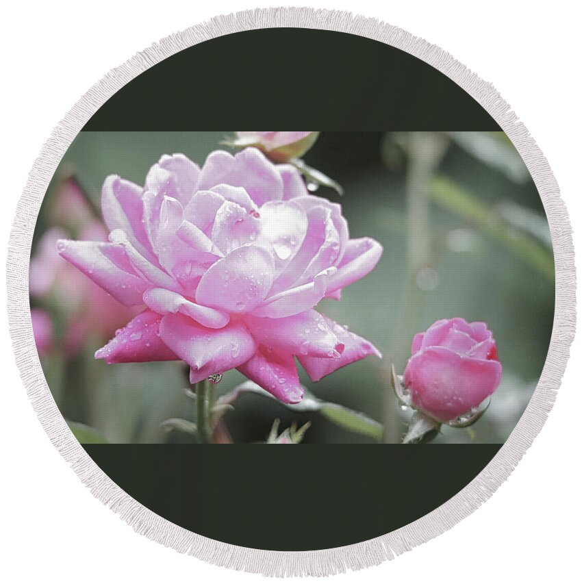 Pink Round Beach Towel featuring the photograph Soft Focus Pink Rose by Scott Burd
