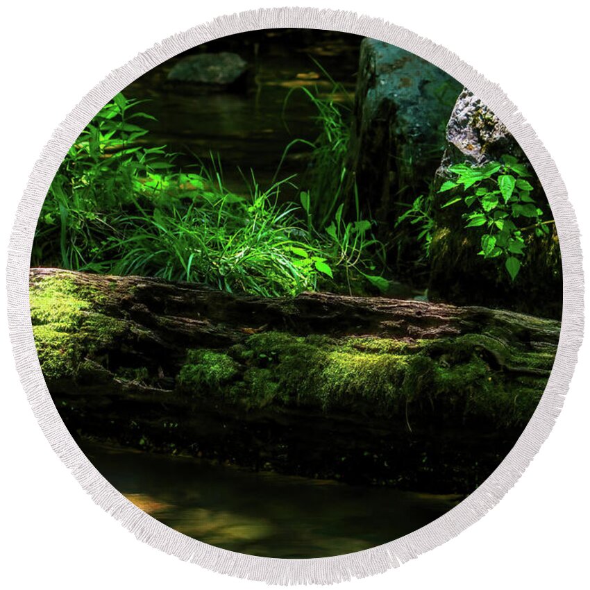 Log Round Beach Towel featuring the photograph Soft Light on the Forest Floor by Shelia Hunt