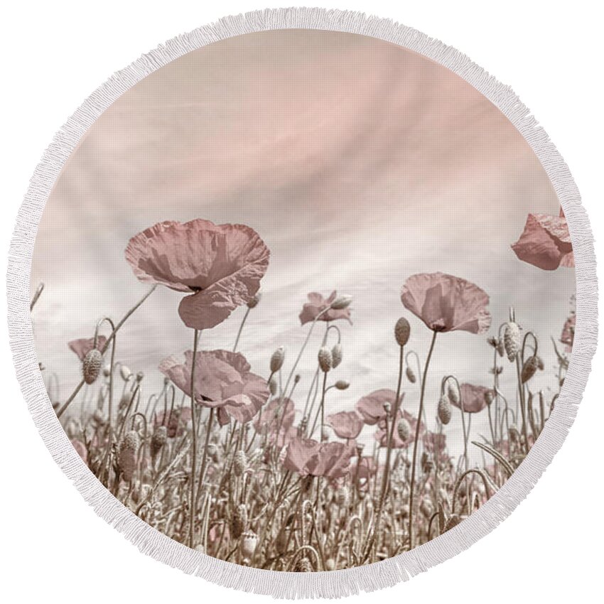 Clouds Round Beach Towel featuring the photograph Soft Poppies in the Early Summer by Debra and Dave Vanderlaan