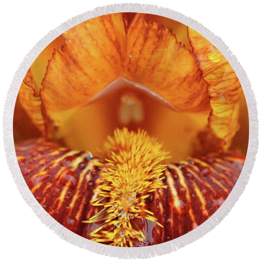 Flower Round Beach Towel featuring the photograph Soggy Iris by Lens Art Photography By Larry Trager