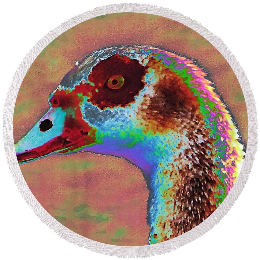 Bird Round Beach Towel featuring the photograph Solar Egyptian Goose Eye by Andrew Lawrence