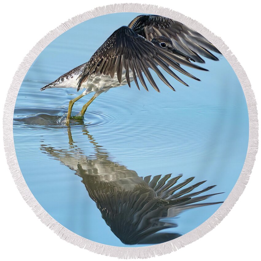 Chevalier Solitaire Round Beach Towel featuring the photograph Solitary sandpiper by Carl Marceau