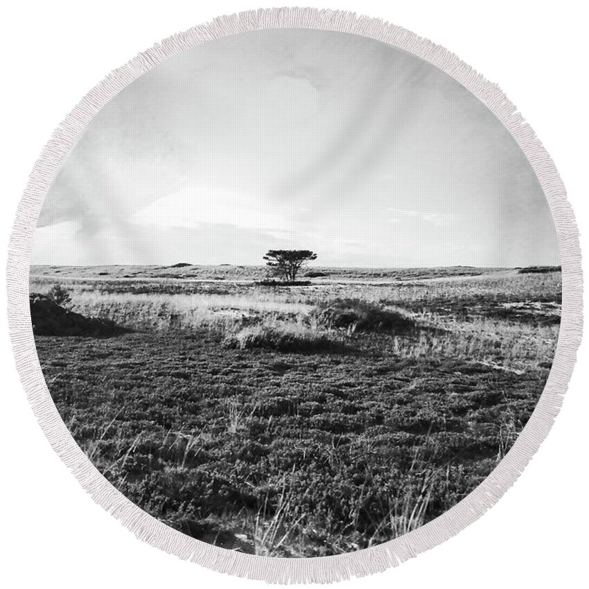 Black And White Round Beach Towel featuring the photograph Solitary Tree by Annalisa Rivera-Franz