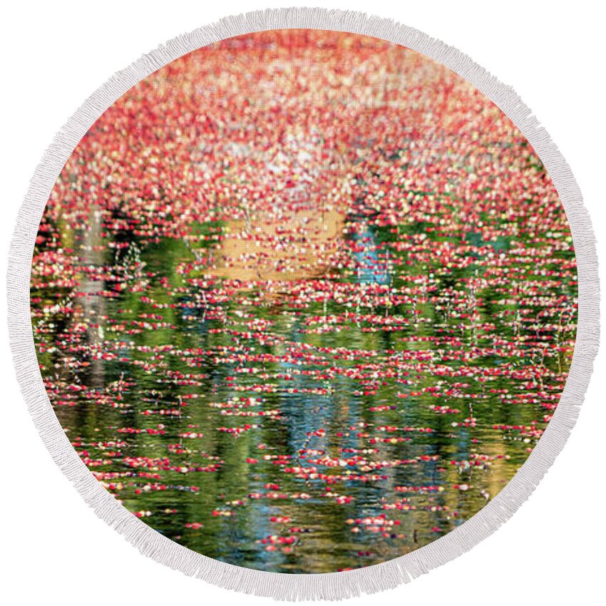 Cranberries Round Beach Towel featuring the photograph South Jersey Cranberry Bogs by GeeLeesa