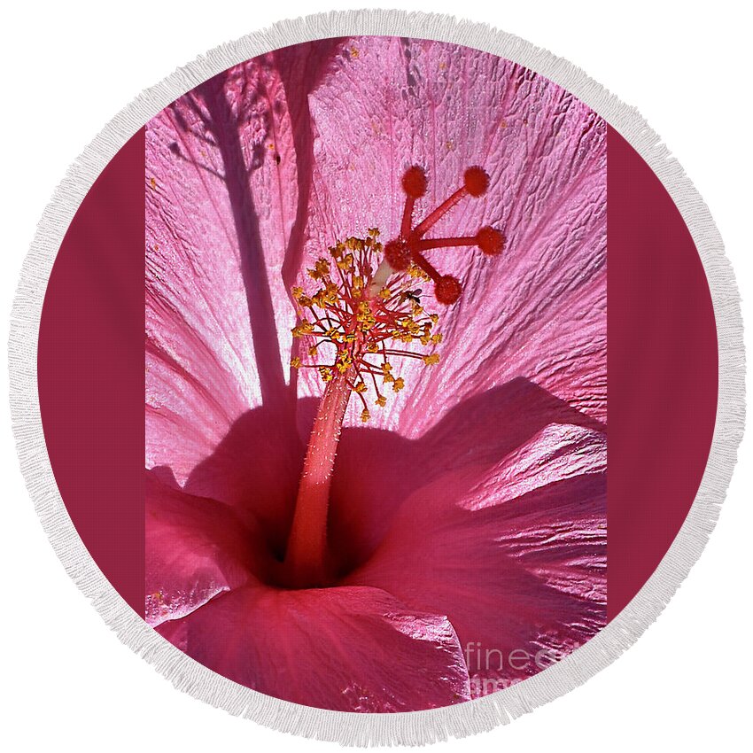 Hibiscus Round Beach Towel featuring the photograph Southwind Hibiscus 2021 by Ron Long