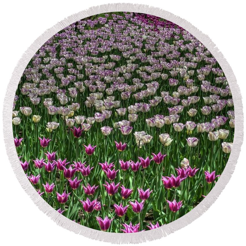 Botanical Round Beach Towel featuring the photograph Spectacular Spring Border by Paolo Signorini