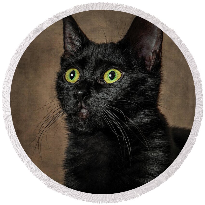Black Cat Round Beach Towel featuring the photograph Spooky by Martina Abreu