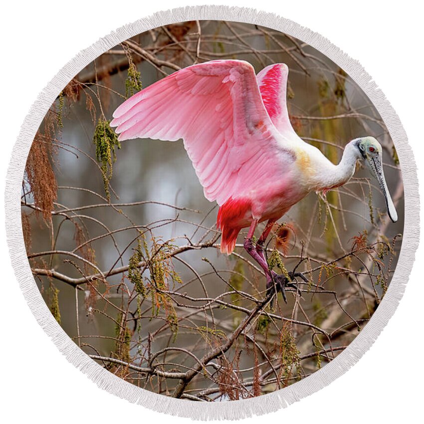  Round Beach Towel featuring the photograph Spoonbill Nesting by Norman Peay