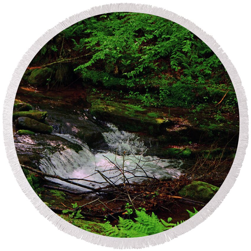 Spring Green Ferns With Dunnfield Creek Round Beach Towel featuring the photograph Spring Green Ferns With Dunnfield Creek by Raymond Salani III