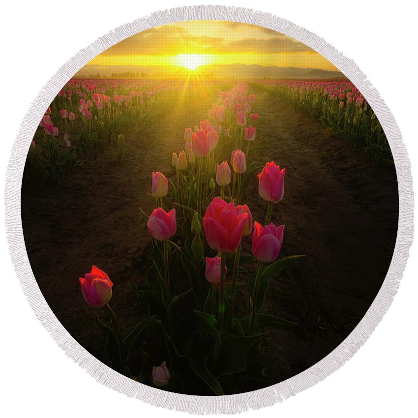 Roozengaarde Round Beach Towel featuring the photograph Spring Sunrise by Ryan Manuel
