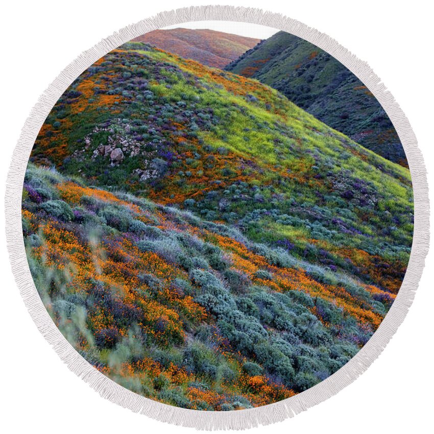Superbloom Round Beach Towel featuring the photograph Spring Superbloom by Erin Marie Davis