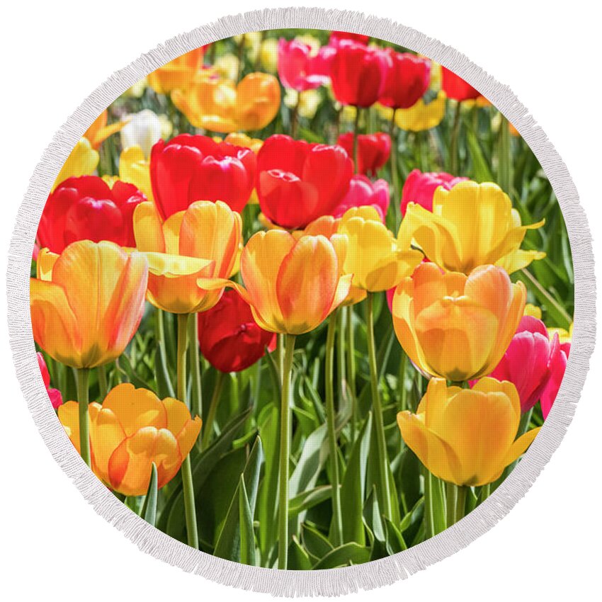 Flowers Round Beach Towel featuring the photograph Spring Tulip Field #1 by Patti Deters