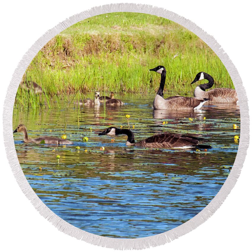 Geese Round Beach Towel featuring the photograph Springtime At The Pond by Cathy Kovarik