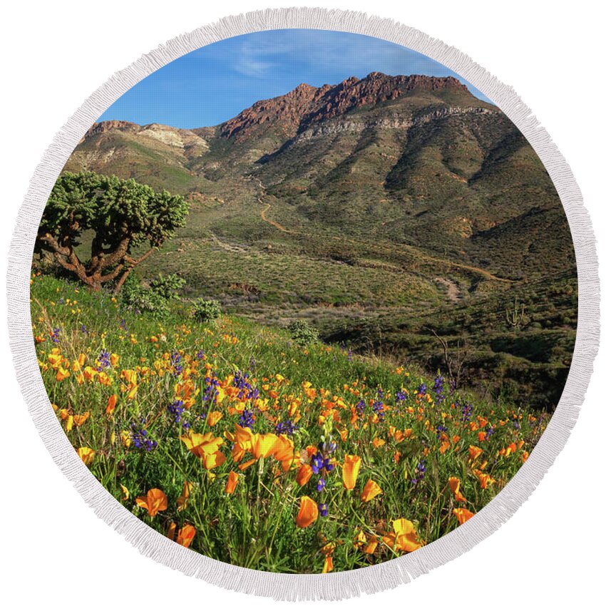 Arizona Round Beach Towel featuring the photograph Springtime in the Desert Southwest by Rick Furmanek
