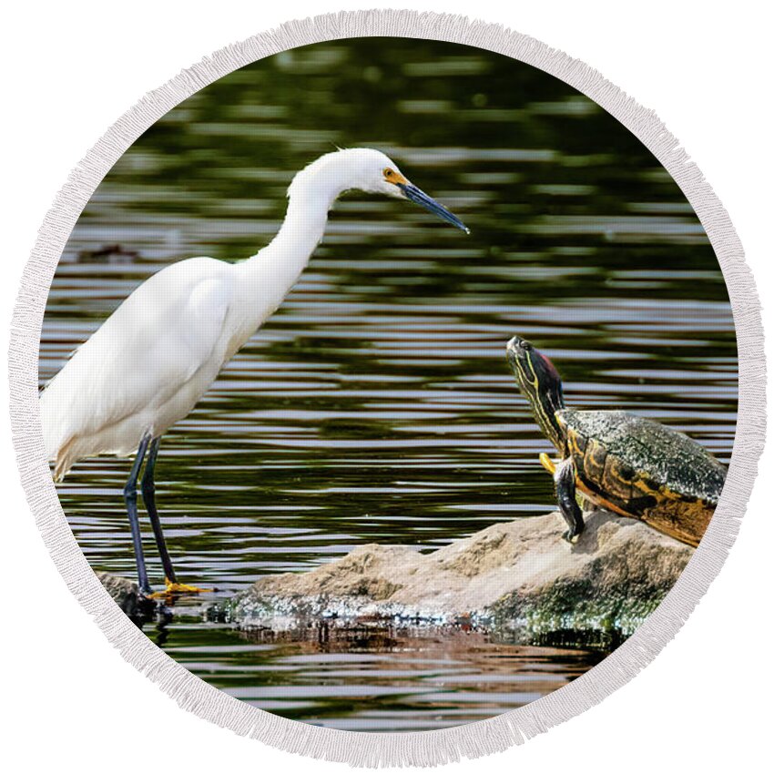 Egret Round Beach Towel featuring the photograph Stand Off by Lowell Monke