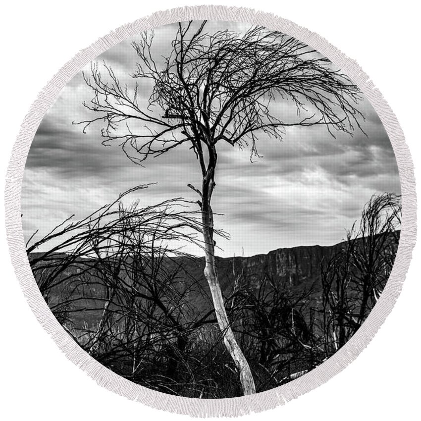 Black And White Round Beach Towel featuring the photograph Standing Tall by KC Hulsman