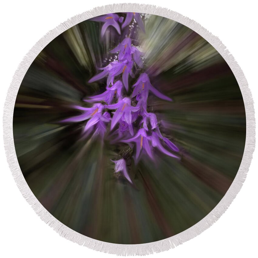 Creeping Bellflower Round Beach Towel featuring the photograph Stars in the Morning Sun by Wayne King