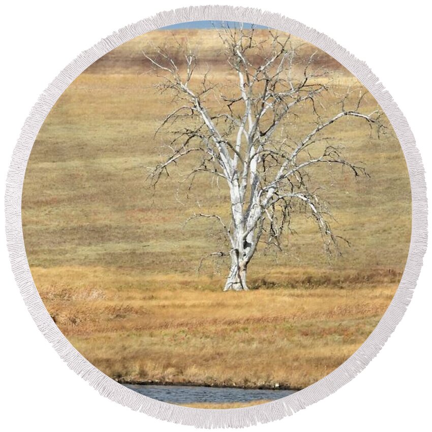Tree Round Beach Towel featuring the photograph Stock Dam And Old Tree by Amanda R Wright