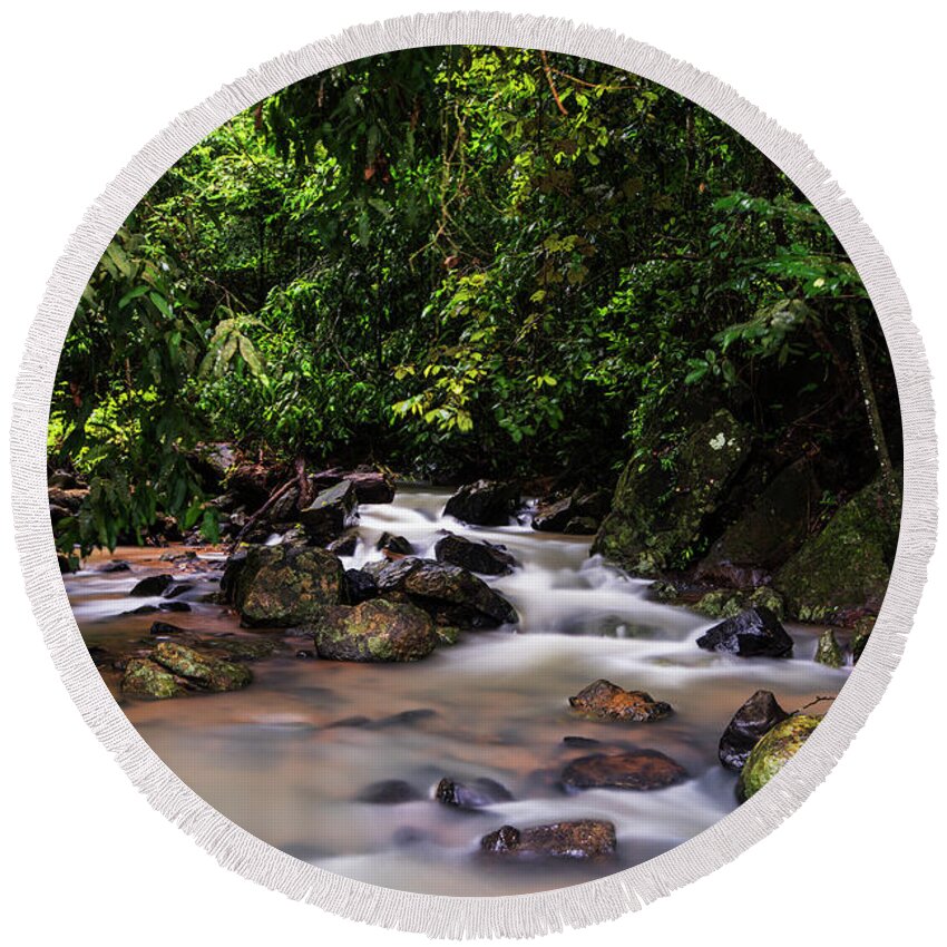 Stream Round Beach Towel featuring the photograph Stream in the jungles by Vishwanath Bhat