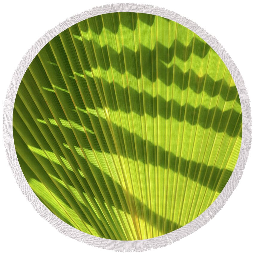 Palm Leaf Round Beach Towel featuring the photograph Structure of green palm leaf with shadows 2 by Adriana Mueller