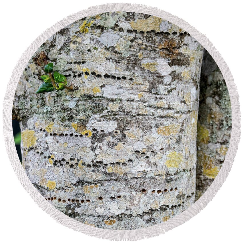 Tree Bark Round Beach Towel featuring the photograph Study of Tree Bark VII by Marie Dudek Brown