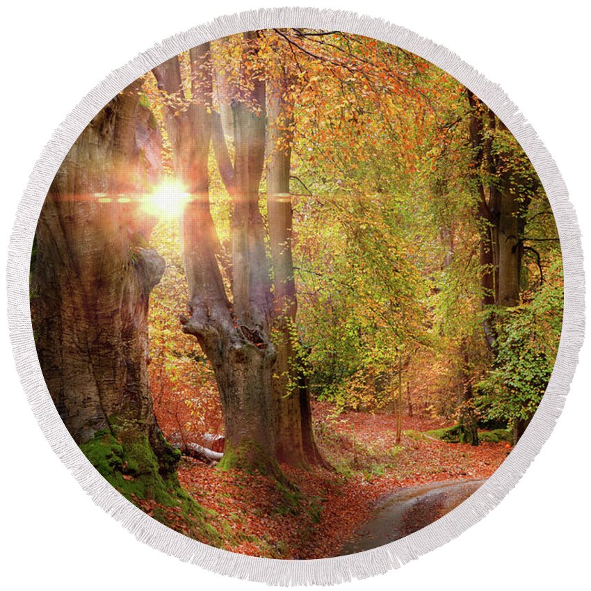 Autumn Round Beach Towel featuring the photograph Stunning autumn forest road at sunrise in Norfolk by Simon Bratt