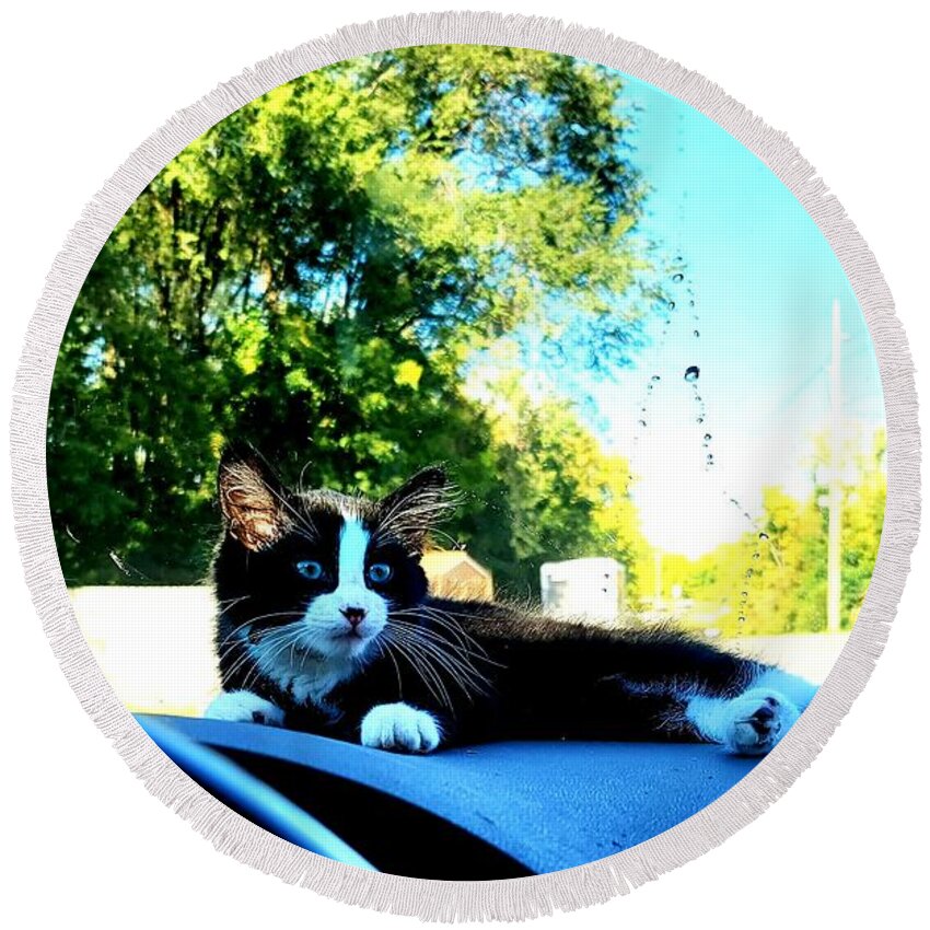 Sun Round Beach Towel featuring the photograph Sunbathing on the dash by Shalane Poole