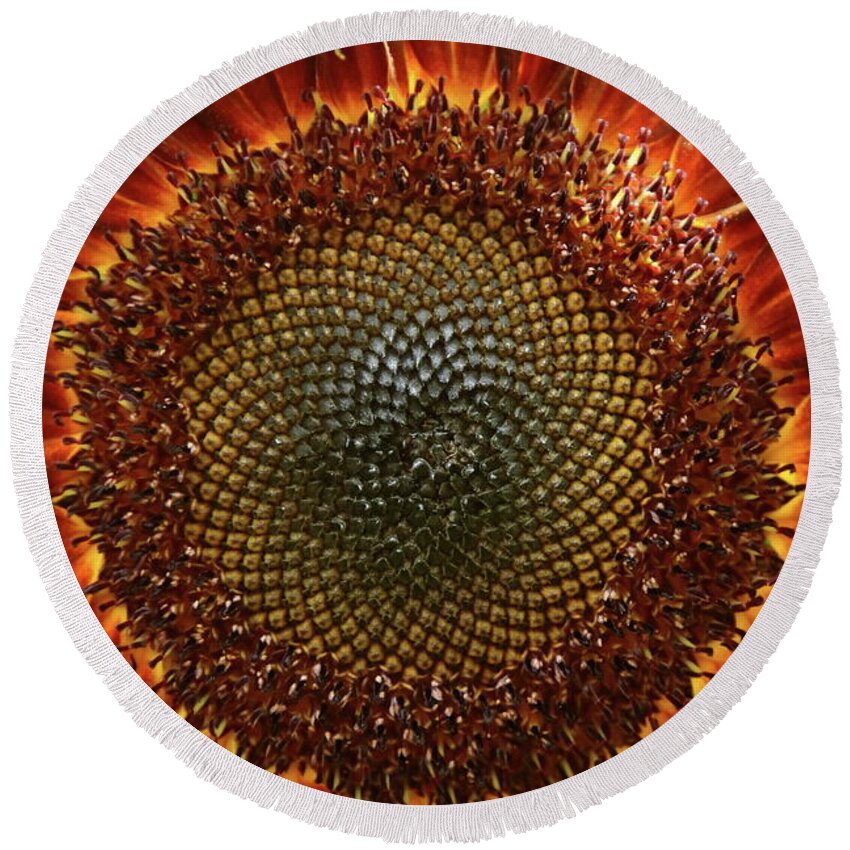 Sunflower Round Beach Towel featuring the photograph Sunburst by Lens Art Photography By Larry Trager