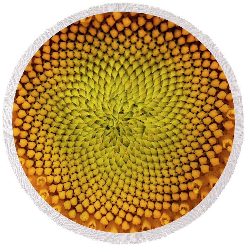 Pattern Round Beach Towel featuring the photograph Sunflower Abstract by Karen Rispin