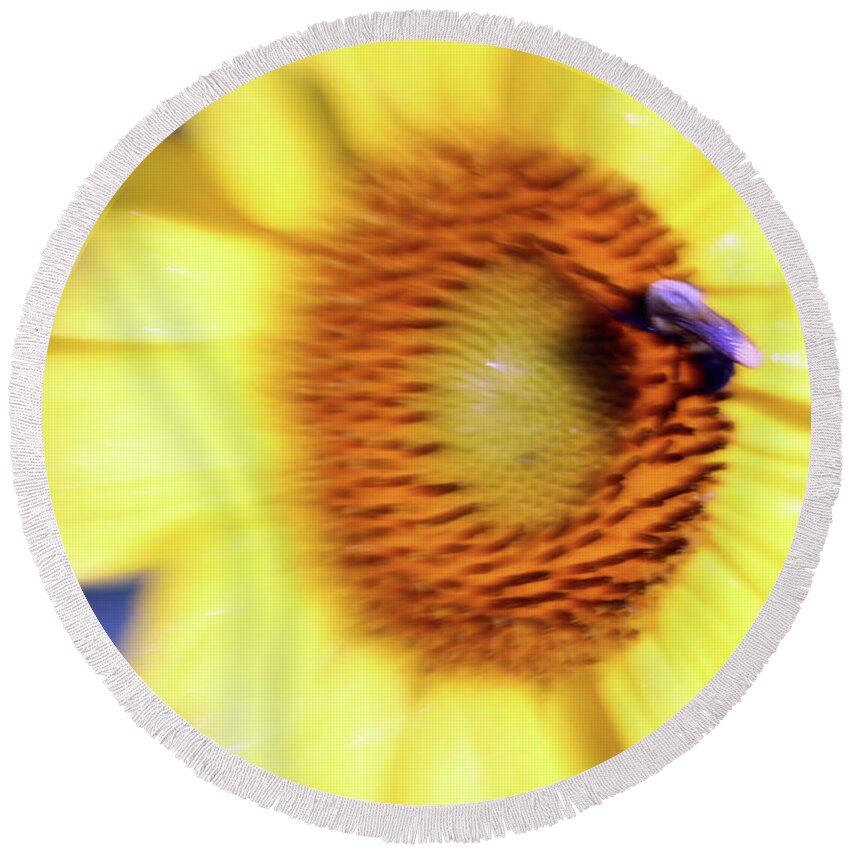 Yellow Round Beach Towel featuring the photograph Sunflower Blur by Carolyn Stagger Cokley