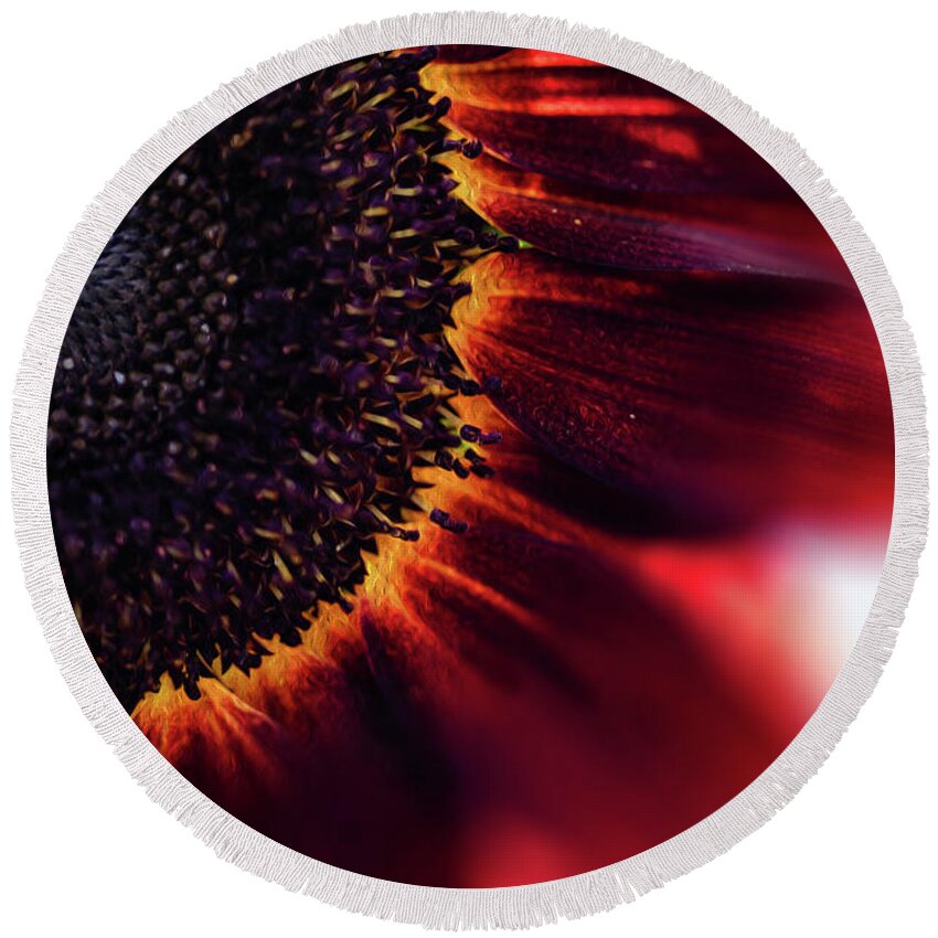  Round Beach Towel featuring the photograph Sunflower full of fire by Nicole Engstrom