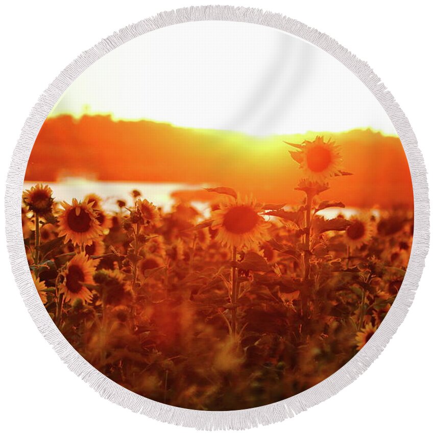 Summer Round Beach Towel featuring the photograph Sunflower Sunset by Lens Art Photography By Larry Trager