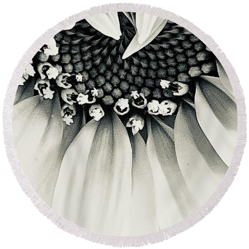 Sunflower Seed Black White B&w Round Beach Towel featuring the photograph Sunflower Surprise by Eileen Gayle
