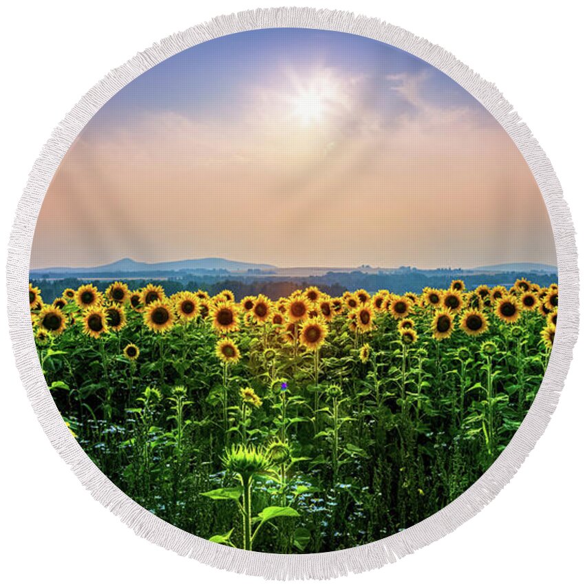 Sunflowers Round Beach Towel featuring the photograph Sunflowers 34a3934 by Greg Hartford