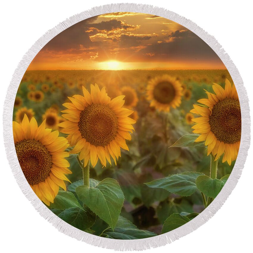 Sunflowers Round Beach Towel featuring the photograph Sunflowers Fields at Sunset with sunrays in background by Ronda Kimbrow