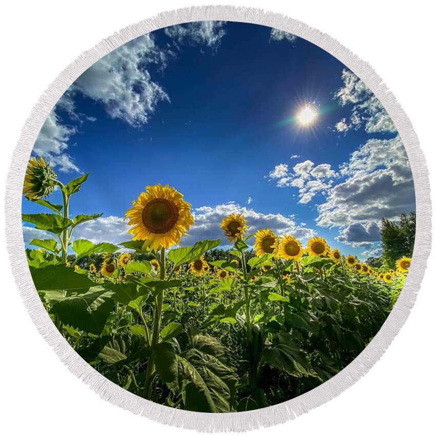 Flower Round Beach Towel featuring the photograph Sunflowers in Bloom by Susan Rydberg