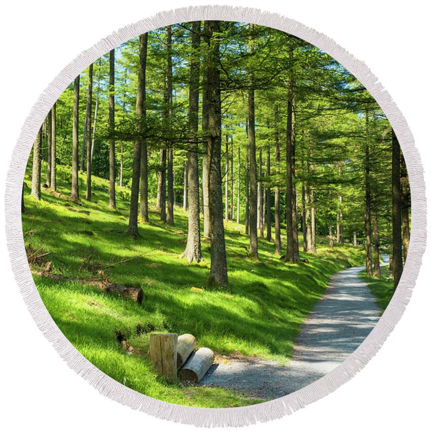 Cumbria Round Beach Towel featuring the photograph Sunlight through Burtness Wood, English Lake District by Neale And Judith Clark