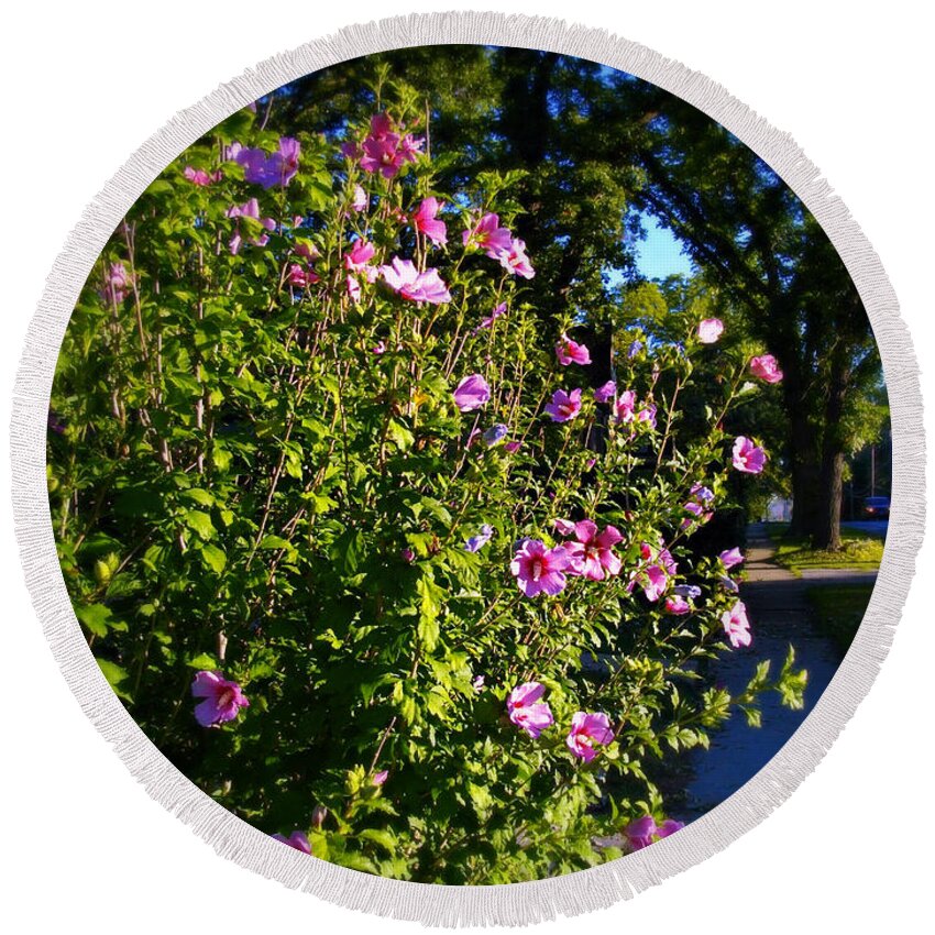 Nature Round Beach Towel featuring the photograph Sunlit Pink Flowers by Frank J Casella