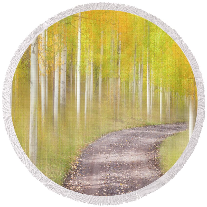 Fall Colors Round Beach Towel featuring the photograph Sunny Stroll Through the Woods by Darren White