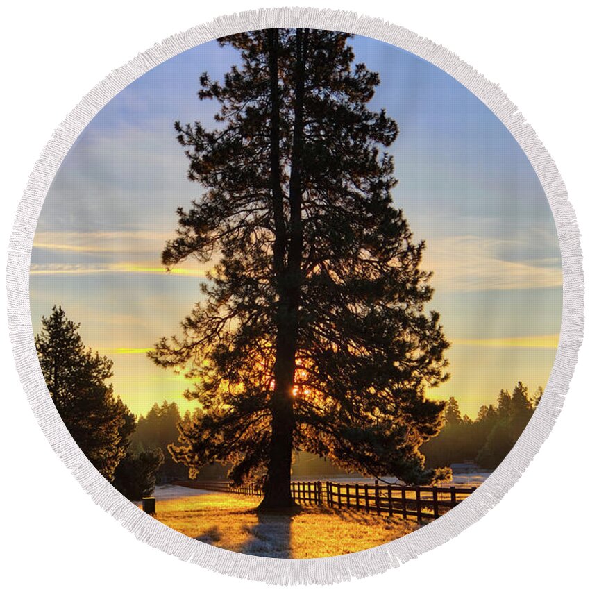 Ponderosa Pine Round Beach Towel featuring the photograph Sunrise Pine by Loyd Towe Photography