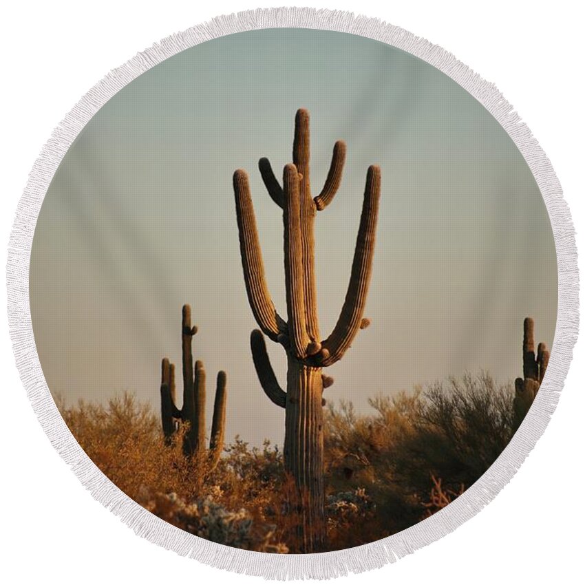 Landscape Round Beach Towel featuring the photograph Sunset Cactus by Go and Flow Photos