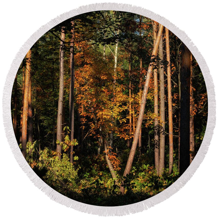 Forest Round Beach Towel featuring the photograph Sunset In Autumn Forest Wilderness by Artur Bogacki