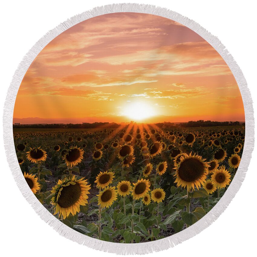 Landscape Round Beach Towel featuring the photograph Sunset Sunflowers by Phillip Rubino