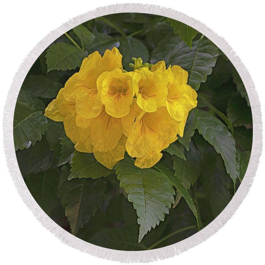 Flower Round Beach Towel featuring the photograph Sunshine Yellow by Kathy Baccari