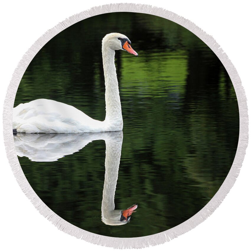 Petoskey Round Beach Towel featuring the photograph Swan at Spring Lake by Robert Carter