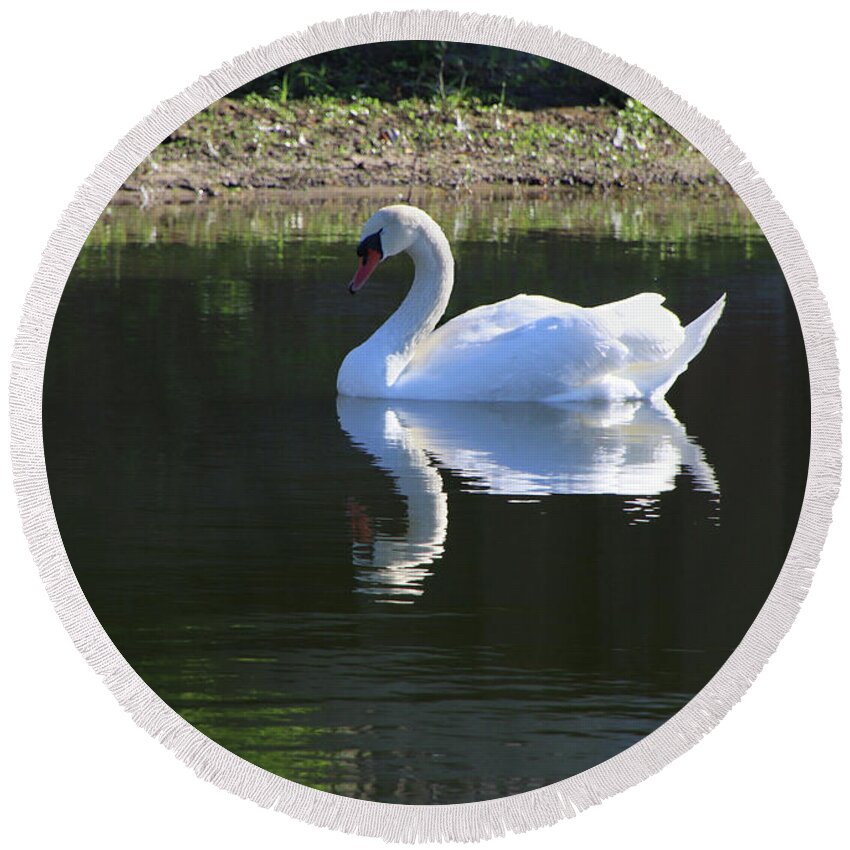 Swan Round Beach Towel featuring the photograph Swan Reflection by Rosalie Scanlon