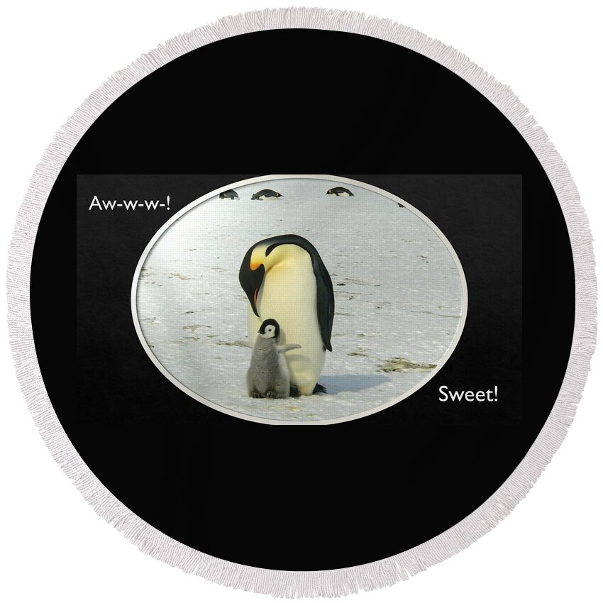 Penguins Round Beach Towel featuring the photograph Sweet Penguins by Nancy Ayanna Wyatt