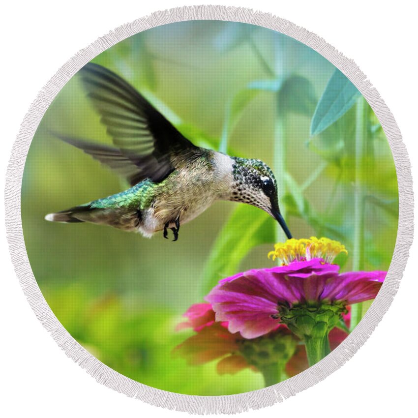 Hummingbird Round Beach Towel featuring the photograph Sweet Success by Christina Rollo