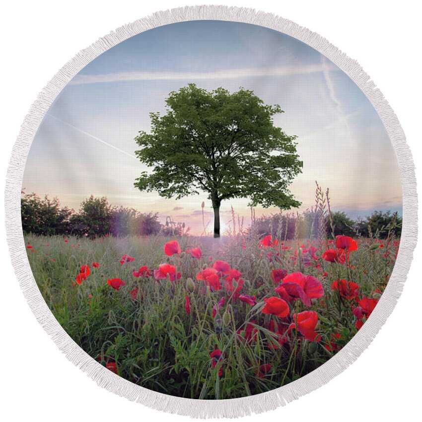 Poppies Round Beach Towel featuring the digital art Sycamore Tree Amongst Poppies by Airpower Art